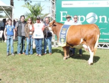 Campeões 2017