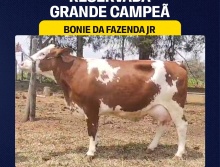 Bonie da Faz. JR - Res. Grande Campeã Simlandês