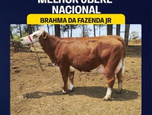 Brahma da Faz. Jr - Melhor Úb. Nac. Simental Leite