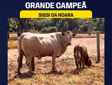 Sissi da Noara - Grande Campeã Simbrasil