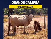 Sissi da Noara - Grande Campeã Simbrasil