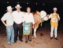 Real do Nilo - Grande Campeão Simental