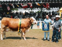 Morena do Sossego - Grande Campeã Simbrasil