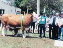 Campeões 2000