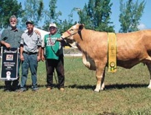 Zaide da Caatinga - Grande Campeã Simbrasil