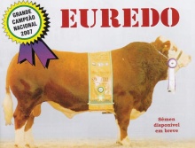 Euredo da Refratários - Grande Campeão Simental