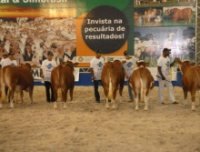 Nacional 2009