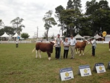 Bragança Paulista 2010