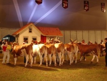 Agroleite 2010