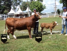 47ª Exp.  Agrop. de Bragança Paulista