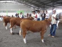 XXIII Feira do Gado Geral-Água Doce-SC