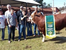 Campeões 2016