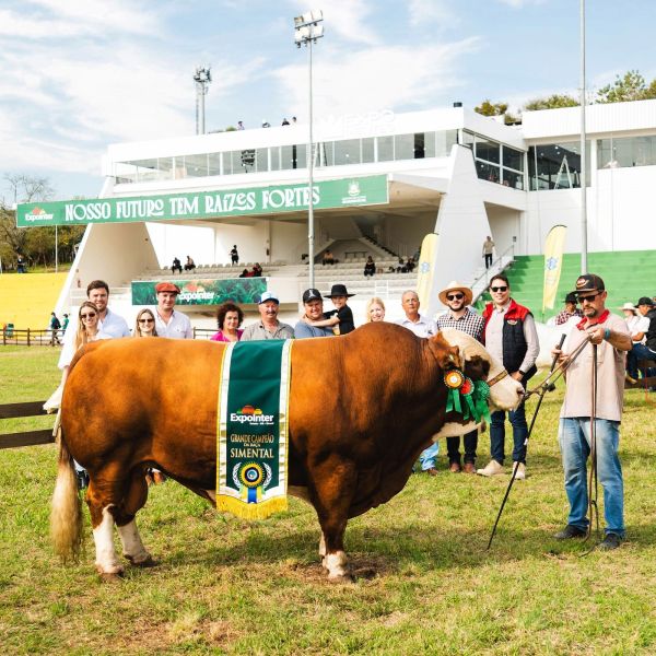 Crivo Sonho e Realidade - Grande Campeão Simental